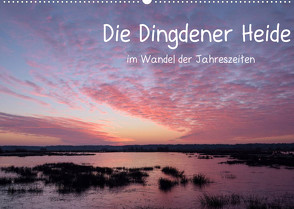 Die Dingdener Heide im Wandel der Jahreszeiten (Wandkalender 2022 DIN A2 quer) von Wermter,  Christof