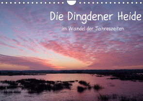 Die Dingdener Heide im Wandel der Jahreszeiten (Wandkalender 2022 DIN A4 quer) von Wermter,  Christof