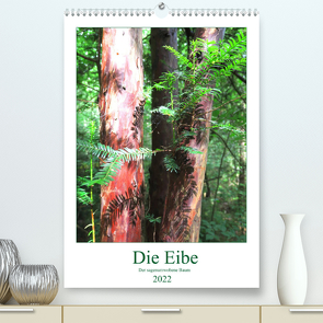 Die Eibe – Der sagenumwobene Baum (Premium, hochwertiger DIN A2 Wandkalender 2022, Kunstdruck in Hochglanz) von Schimmack,  Claudia