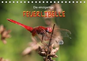 Die einzigartige Feuerlibelle (Tischkalender 2018 DIN A5 quer) von Brix - Studio Brix,  Matthias