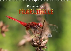 Die einzigartige Feuerlibelle (Wandkalender 2018 DIN A3 quer) von Brix - Studio Brix,  Matthias