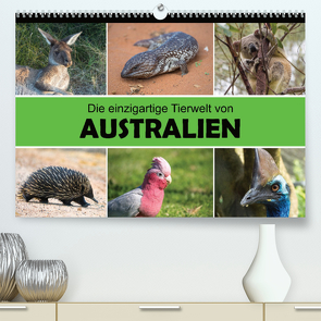 Die einzigartige Tierwelt von Australien (Premium, hochwertiger DIN A2 Wandkalender 2022, Kunstdruck in Hochglanz) von Williger,  Christina