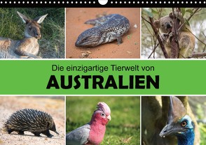 Die einzigartige Tierwelt von Australien (Wandkalender 2022 DIN A3 quer) von Williger,  Christina