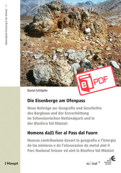 Die Eisenberge am Ofenpass – Homens da(l) fier al Pass dal Fuorn von Schläpfer,  Daniel