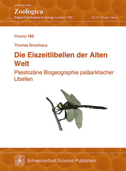 Die Eiszeitlibellen der Alten Welt von Brockhaus,  Thomas, Paulus,  Hannes F.