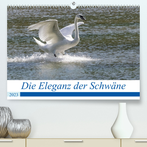 Die Eleganz der Schwäne (Premium, hochwertiger DIN A2 Wandkalender 2023, Kunstdruck in Hochglanz) von Müller Fotografie,  Andreas