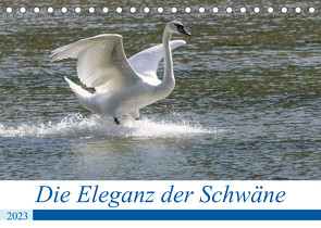 Die Eleganz der Schwäne (Tischkalender 2023 DIN A5 quer) von Müller Fotografie,  Andreas