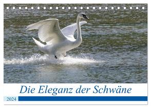 Die Eleganz der Schwäne (Tischkalender 2024 DIN A5 quer), CALVENDO Monatskalender von Müller Fotografie,  Andreas