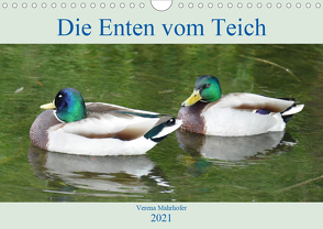 Die Enten vom Teich (Wandkalender 2021 DIN A4 quer) von Mahrhofer,  Verena