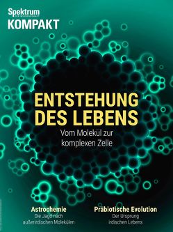 Die Entstehung des Lebens