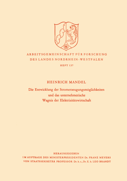 Die Entwicklung der Stromerzeugungsmöglichkeiten und das unternehmerische Wagnis der Elektrizitätswirtschaft von Mandel,  Heinrich