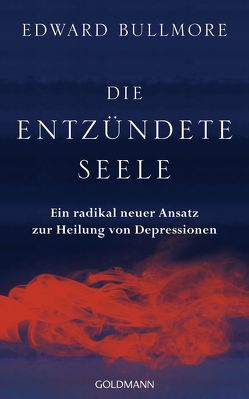 Die entzündete Seele von Bischoff,  Ursula, Bullmore,  Edward