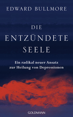 Die entzündete Seele von Bischoff,  Ursula, Bullmore,  Edward