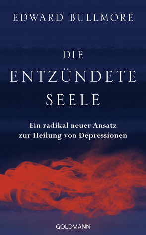 Die entzündete Seele von Bischoff,  Ursula, Bullmore,  Edward