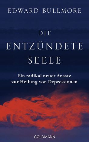 Die entzündete Seele von Bischoff,  Ursula, Bullmore,  Edward