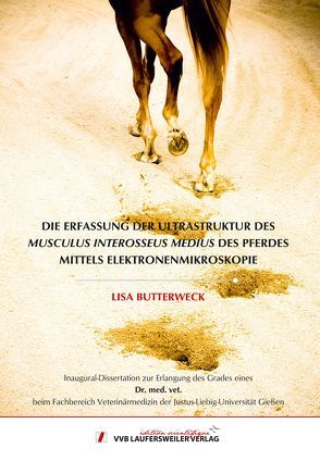 Die Erfassung der Ultrastruktur des Musculus interosseus medius des Pferdes mittels Elektronenmikroskopie von Butterweck,  Lisa