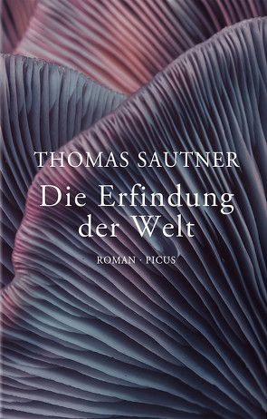 Die Erfindung der Welt von Sautner,  Thomas