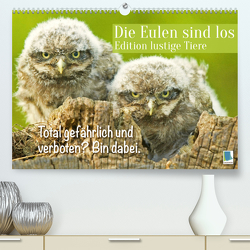 Die Eulen sind los: Edition lustige Tiere (Premium, hochwertiger DIN A2 Wandkalender 2023, Kunstdruck in Hochglanz) von CALVENDO