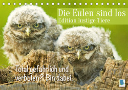 Die Eulen sind los: Edition lustige Tiere (Tischkalender 2023 DIN A5 quer) von CALVENDO