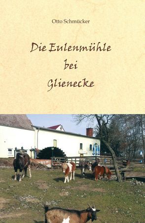 Die Eulenmühle bei Glienecke von Schmücker,  Otto