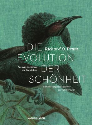 Die Evolution der Schönheit von Born,  Frank, Prum,  Richard O., Schalansky,  Judith