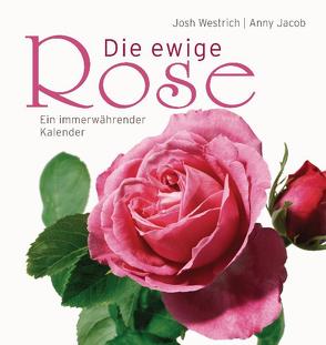 Die ewige Rose von Jacob,  Anny, Westrich,  Josh