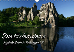 Die Externsteine (Wandkalender 2020 DIN A3 quer) von Berg,  Martina