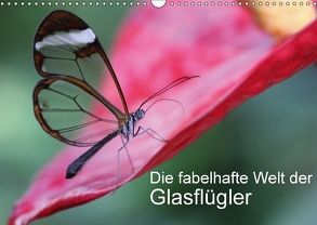 Die fabelhafte Welt der Glasflügler (Wandkalender 2018 DIN A3 quer) von Kramer,  Siegfried