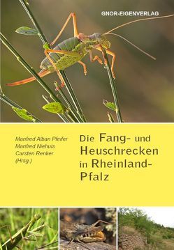 Die Fang- und Heuschrecken in Rheinland-Pfalz von Niehuis,  Manfred, Pfeifer,  Alban, Renker,  Carsten