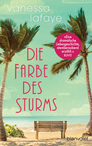 Die Farbe des Sturms von Brandl,  Andrea, Lafaye,  Vanessa