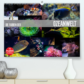 Die Farben der Ozeanwelt (Premium, hochwertiger DIN A2 Wandkalender 2023, Kunstdruck in Hochglanz) von Meutzner,  Dirk