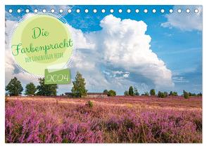 Die Farbenpracht der Lüneburger Heide (Tischkalender 2024 DIN A5 quer), CALVENDO Monatskalender von Lorenzen-Müller,  Sandra