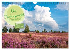 Die Farbenpracht der Lüneburger Heide (Wandkalender 2024 DIN A4 quer), CALVENDO Monatskalender von Lorenzen-Müller,  Sandra