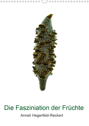 Die Faszination der Früchte (Wandkalender 2021 DIN A3 hoch) von Hegerfeld-Reckert,  Anneli