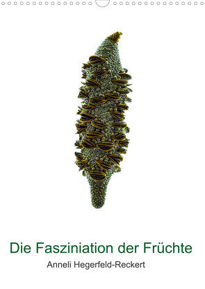 Die Faszination der Früchte (Wandkalender 2022 DIN A3 hoch) von Hegerfeld-Reckert,  Anneli