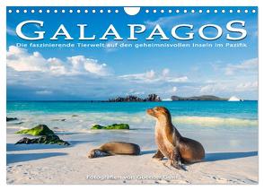 Die faszinierende Tierwelt der Galapagos-Inseln (Wandkalender 2024 DIN A4 quer), CALVENDO Monatskalender von Guni,  Günter