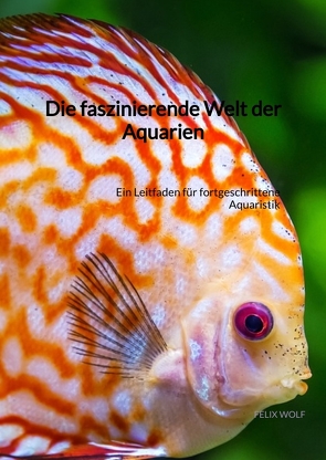 Die faszinierende Welt der Aquarien von Wolf,  Felix