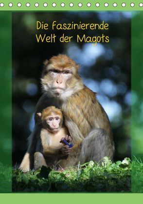 Die faszinierende Welt der Magots (Tischkalender 2019 DIN A5 hoch) von Sprengart,  Jürgen