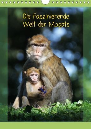 Die faszinierende Welt der Magots (Wandkalender 2018 DIN A4 hoch) von Sprengart,  Jürgen