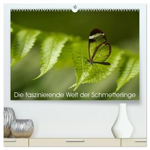 Die faszinierende Welt der Schmetterlinge (hochwertiger Premium Wandkalender 2024 DIN A2 quer), Kunstdruck in Hochglanz von Nocke,  Benjamin