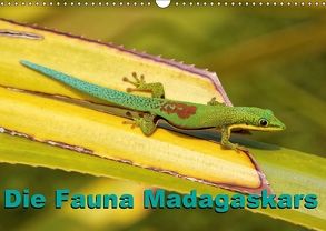 Die Fauna Madagaskars (Wandkalender 2018 DIN A3 quer) von Willy Bruechle,  Dr.