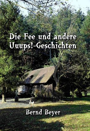 Die Fee und andere Uuups!-Geschichten von Beyer,  Bernd