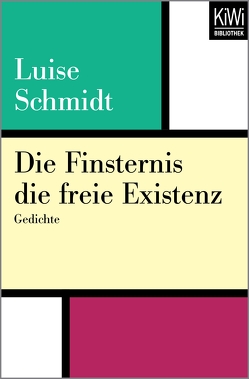 Die Finsternis die freie Existenz von Schmidt,  Luise