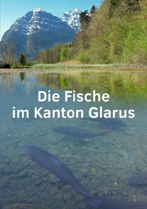 Die Fische im Kanton Glarus von Zbinden,  Andreas