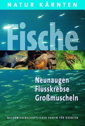 Die Fische Kärntens von Friedl,  Thomas, Honsig-Erlenburg,  Wolfgang, Kerschbaumer,  Gerald, Ley-Schabus,  Michaela, Mildner,  Paul, Petutschnig,  Jürgen, Petutschnig,  Werner, Sturm,  Franz, Taurer,  Markus, Wieser,  Gabriele