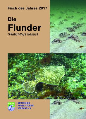 Die Flunder (Platichthys flesus) von Autorenteam,  Autorenteam