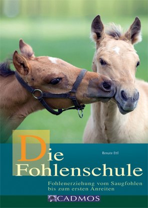 Die Fohlenschule von Ettl,  Renate