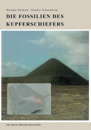 Die Fossilien des Kupferschiefers von Haubold,  Hartmut