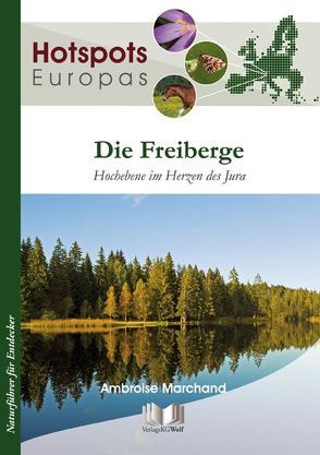 Die Freiberge von Marchand,  Ambroise