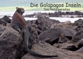 Die Galapagos Inseln – Das Naturparadies (Tischkalender 2018 DIN A5 quer) von Akrema-Photography, Neetze